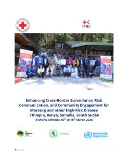 enhancing-cross-border-surveillance-ethiopia_lessons-learned-report-final.pdf